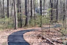 The trail goes behind the houses for a short distance.