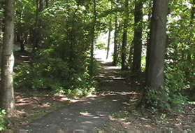 After crossing Coffer Woods Rd turn right and follow the asphalt trail along that road.