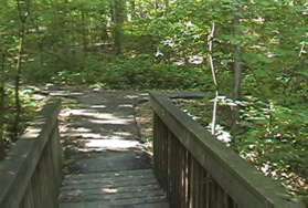After the trail crosses a bridge turn right onto the intersecting trail.