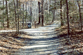 After a very short distance turn left at the first path.  Note the arrow in the picture.