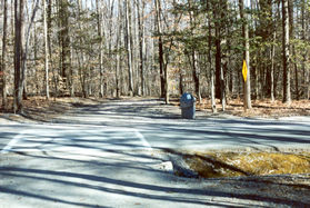 The path crosses the road.