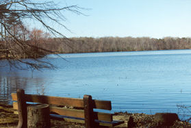 Vesper Island can be seen to the left of this bench.