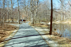 The trail reaches the parkiing lot for fishing.