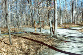 After a short distance the trail turns left and crosses a road.