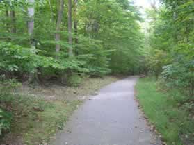 A dirt trail intersects from the left.  Continue on the present asphalt trail.