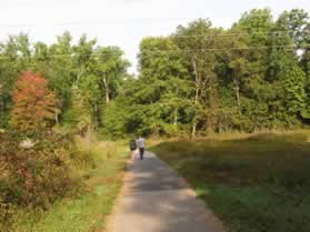 A dirt trail intersects from the right as the trail passes under power lines.  Continue straight on the present asphalt trail.