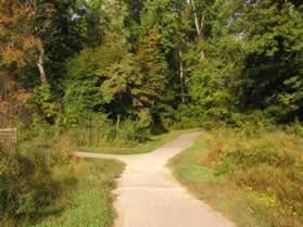 An asphalt trail intersects from the left.  Continue straight on the present asphalt trail.