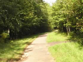 An asphalt trail intersects from the right.  Continue straight on the present asphalt trail.