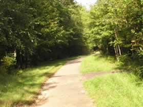 An asphalt trail intersects from the right.  Continue straight on the present asphalt trail.