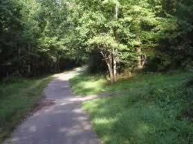 An asphalt trail intersects from the right.  Continue straight on the present asphalt trail.