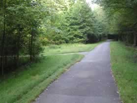 An asphalt trail intersects from the left.  Continue straight on the present asphalt trail.