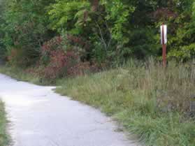 A dirt trail intersects from the right.  Continue straight on the asphalt trail.