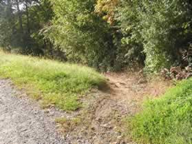 At the other end of the dam turn left to follow the narrow dirt trail down the hill.