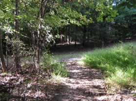 The dirt trail ends at an asphalt trail.  Turn left onto the asphalt trail.