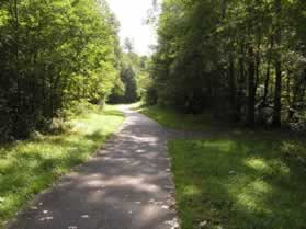 An asphalt trail intersects from the right.  Continue straight on the present trail.