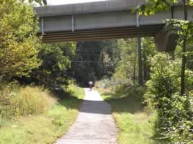 The trail passes under Lee Chapel Rd.