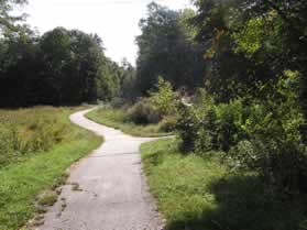 An asphalt trail intersects from the right.  Continue straight on the present trail.