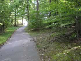 A dirt trail intersects from the right.  Continue straight on the present trail.