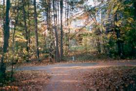 Turn left at the intersection with the wide asphalt trail to continue along North Village Rd.