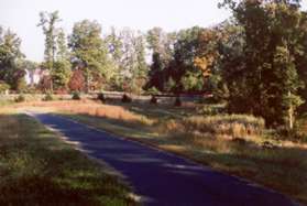 The trail passes over a dam that creates a sediment basin here.