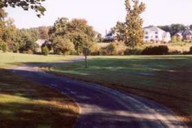 The path opens up into a grassy area.