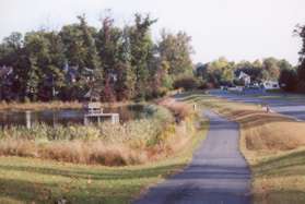 After crossing Reston Pkwy turn right and follow the wide asphalt trail next to Butlers Pond.