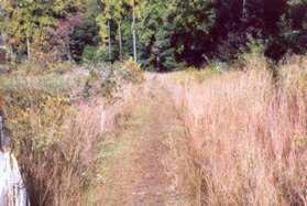 Take the natural surface trail that has been cleared along the pond from the gazebo.