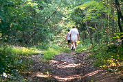 Walk in the woods near Buttermilk Creek