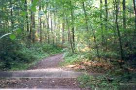 You will cross 2 culverts.  This is the first.