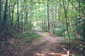 This is the 2nd culvert.  You will turn a short distance from here.