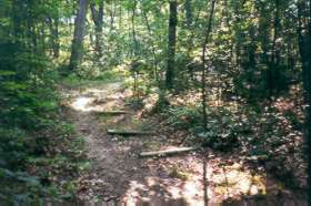 Take the path to the left just after the 2nd culvert.  Notice the steps.