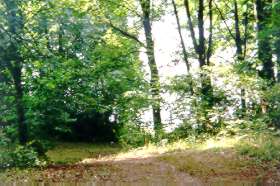 The path reaches a hill overlooking Lake Fairfax.  Walk down the hill for a closer view and return to this spot when done.