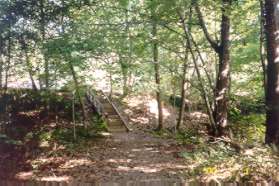 The path climbs stairs leading to Hunt Club Rd.