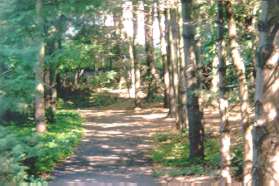 The path goes between the houses into the woods.