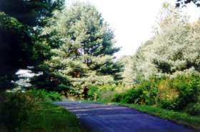 The path enters a field in the pipeline area.