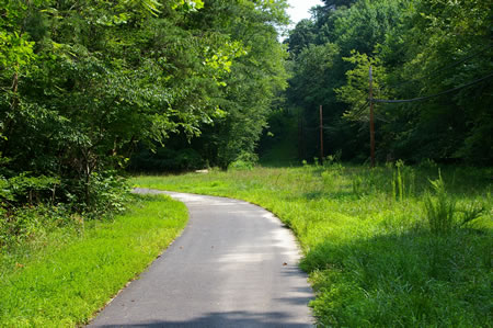 The trail turns left and leaves the telephone cable.