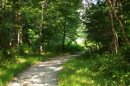 The trail turns right and leaves the telephone cable.