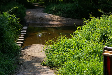 The trail crosses Pohick Creek on columns. The first step is difficult because a thorny bush is in the way.