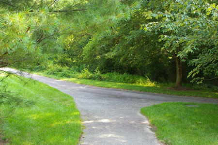 Turn right at the intersecting trail to follow the CCT across Pohick Creek on columns. Turn left if you wish to take the alternate route and avoid the column crossing. Go to step 23 for the alternate route.