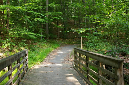 Shortly after crossing a bridge a trail intersects from the left. Turn right to continue on the present trail.