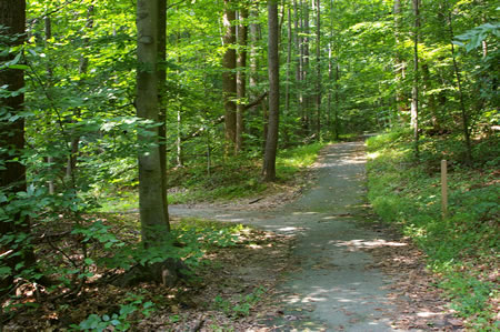 An asphalt trail intersects from the left. Turn left to follow that trail.