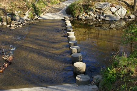 The trail crosses Pohick Creek on columns.