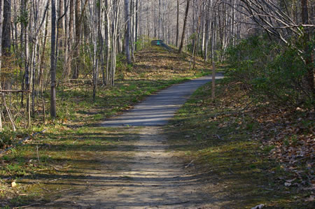 The trail changes from a natural surface to an asphalt surface.