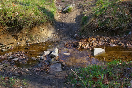 The trail crosses a narrow side creek on rocks.
