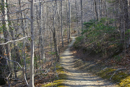 The trail descends a short hill.