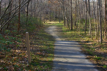 The trail surface changes from asphalt to a natural surface.
