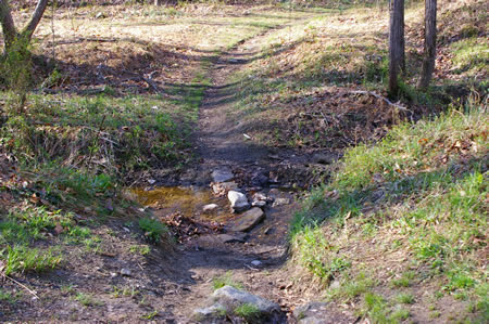 The trail crosses a narrow side creek on rocks.