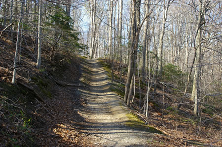 The trail climbs a short hill.
