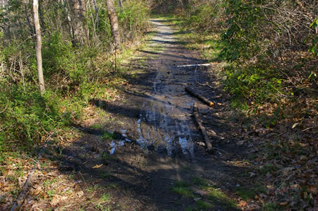 Clogged pipes under the trail have created a muddy condition. It is passable.