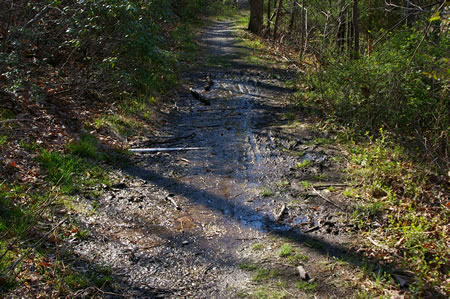 Clogged pipes under the trail have created a muddy condition here. It is passable.